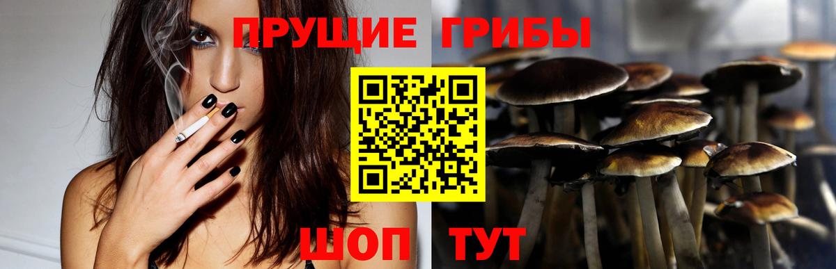 Галлюциногенные грибы прущие грибы Дивногорск